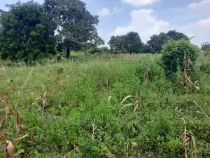 Shala Ekari 3 Linauzwa Fukayosi Bagamoyo