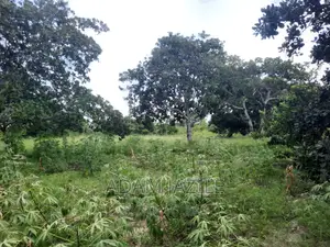 Shala Ekari 3 Linauzwa Fukayosi Bagamoyo
