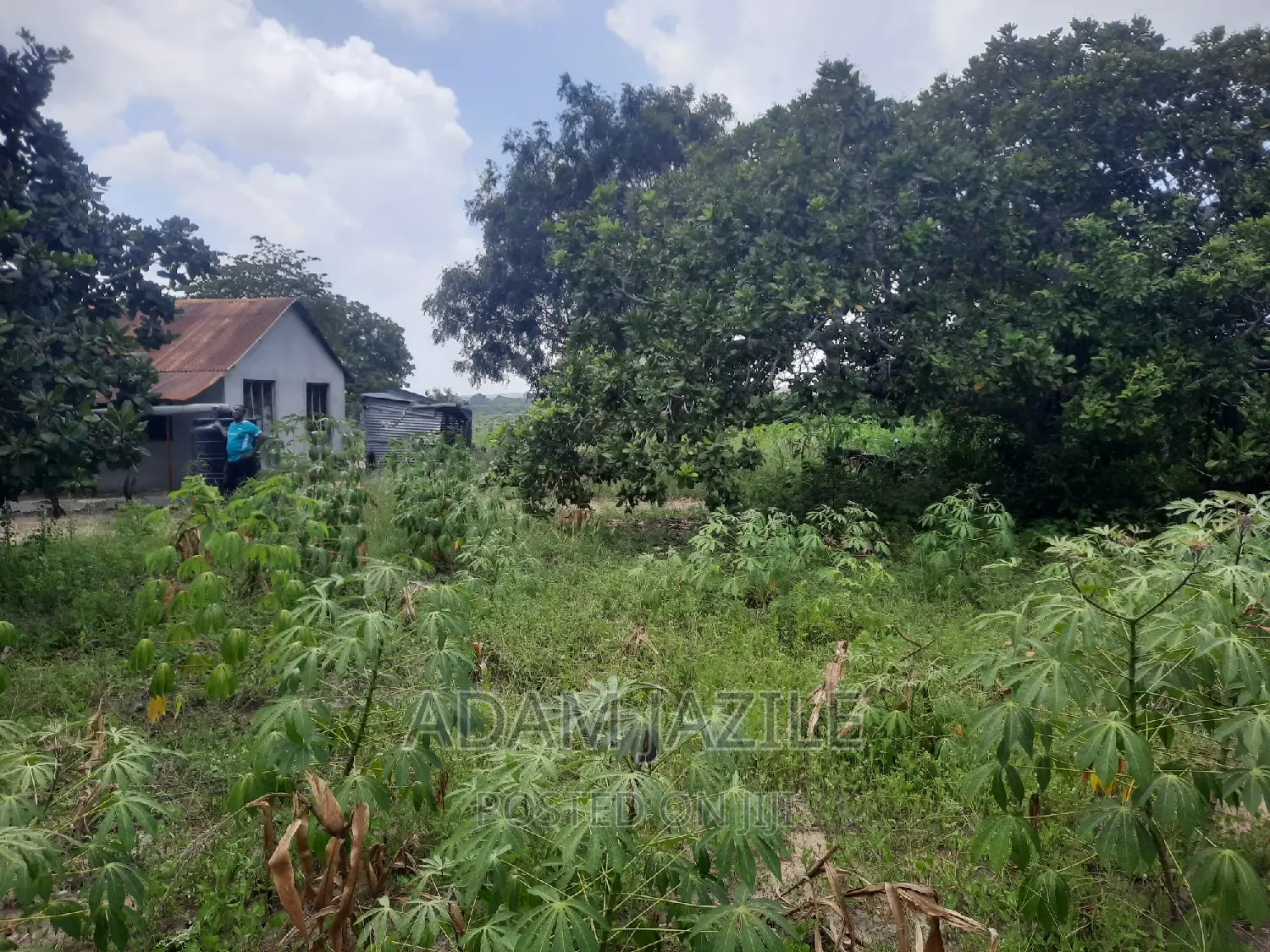 Shala Ekari 3 Linauzwa Fukayosi Bagamoyo