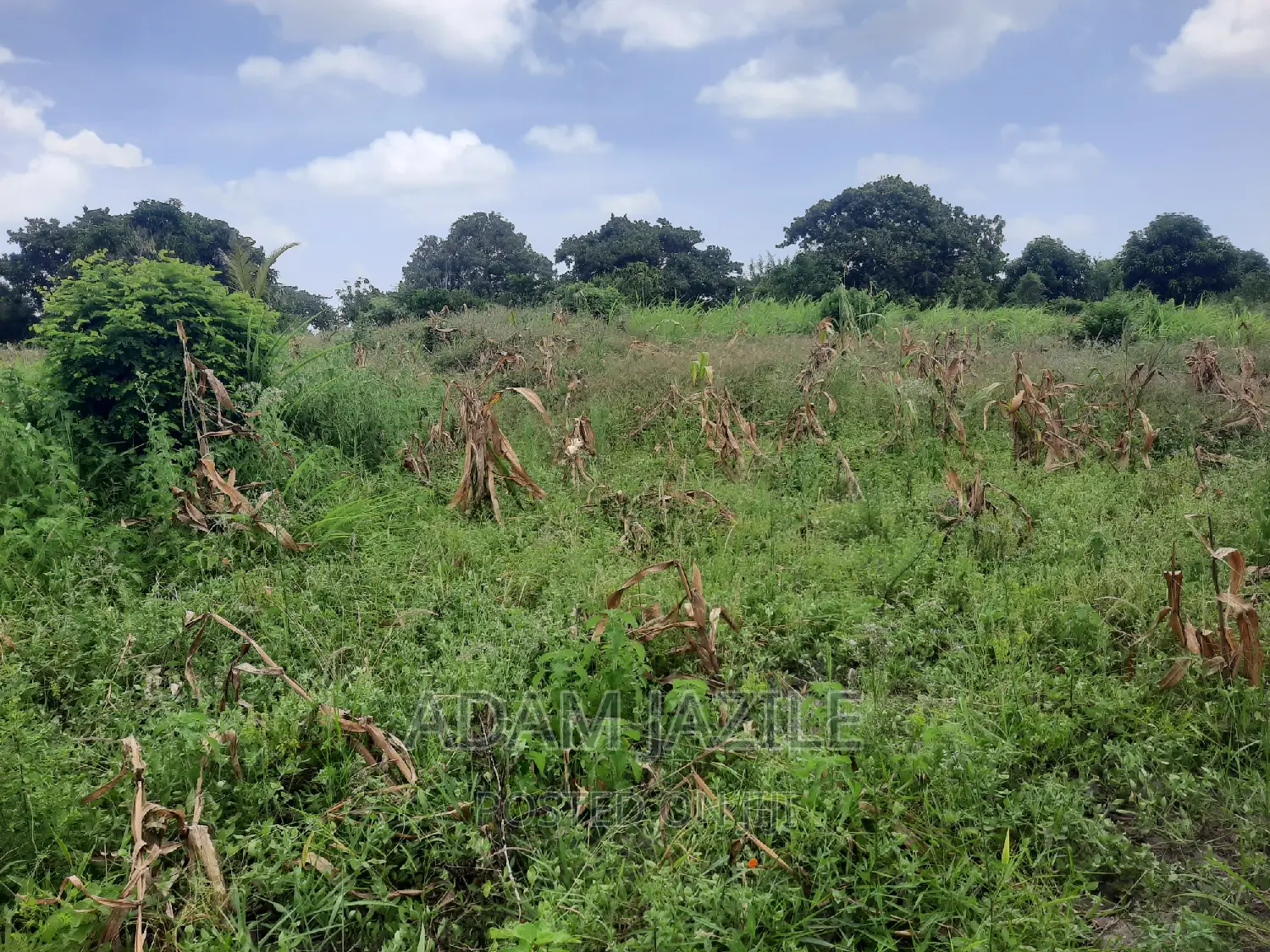 Shala Ekari 3 Linauzwa Fukayosi Bagamoyo