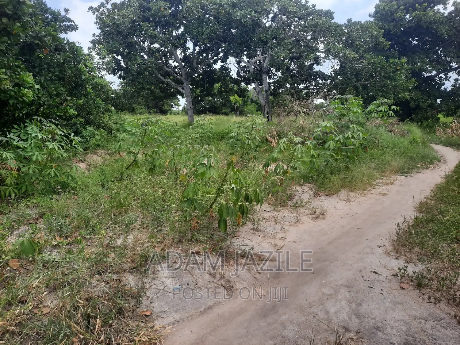 Shala Ekari 3 Linauzwa Fukayosi Bagamoyo