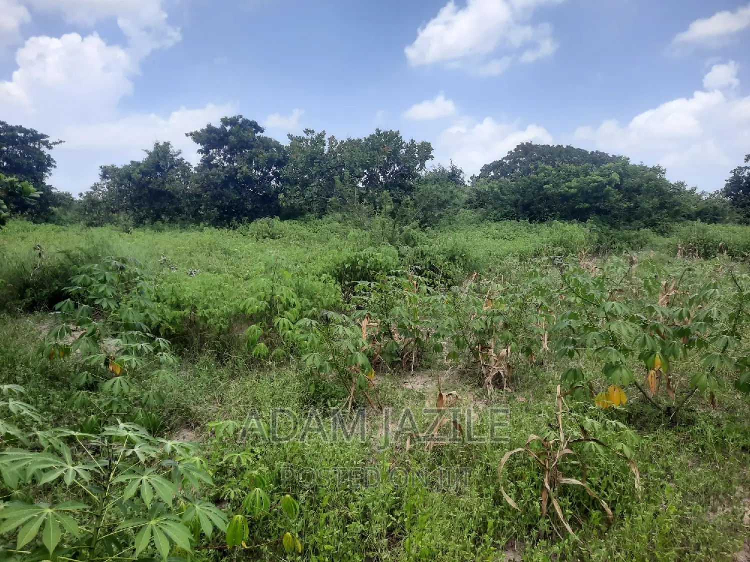Shala Ekari 3 Linauzwa Fukayosi Bagamoyo