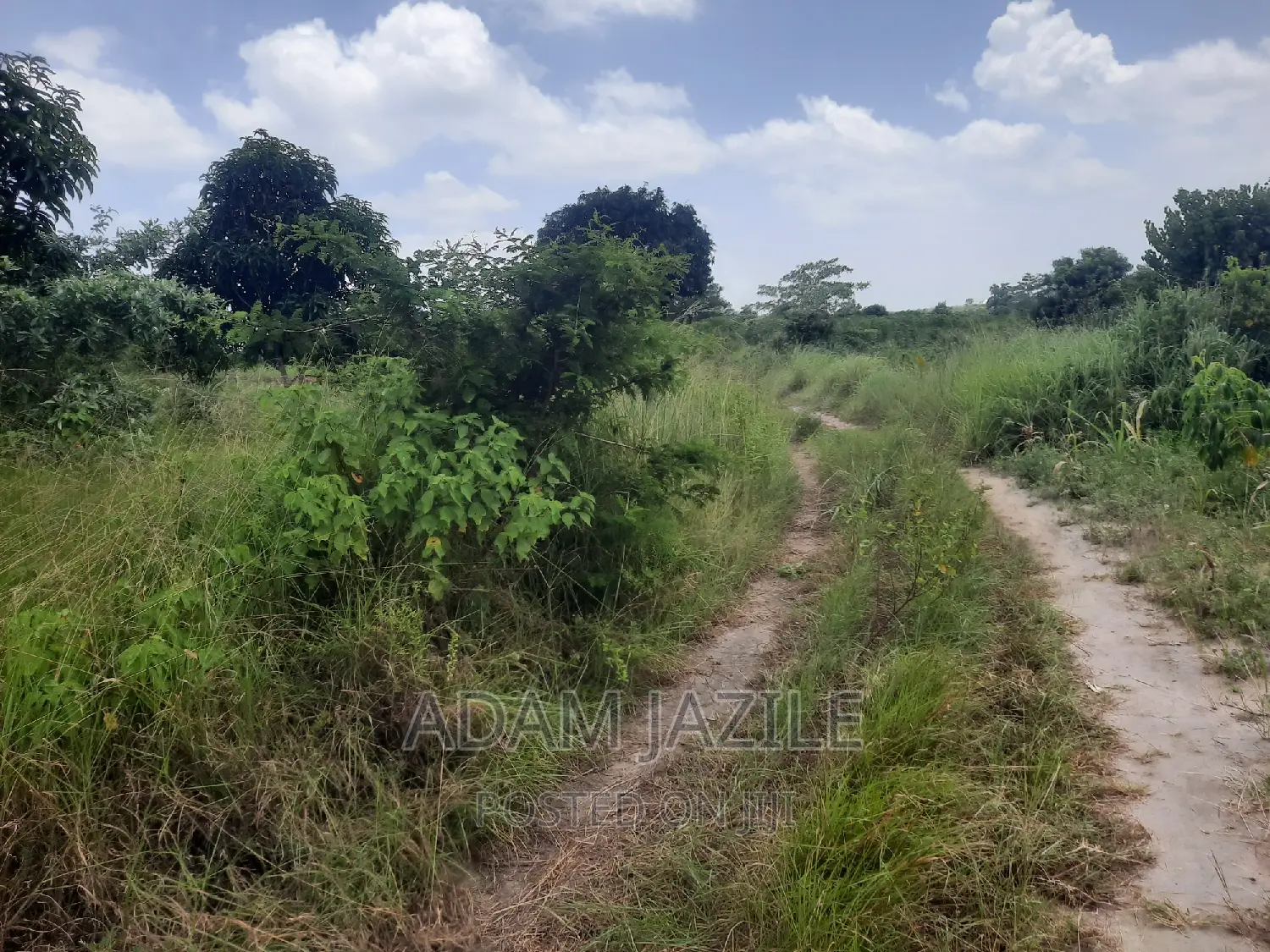Shala Ekari 3 Linauzwa Fukayosi Bagamoyo