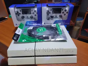 White Edittion-Ps4 Fat