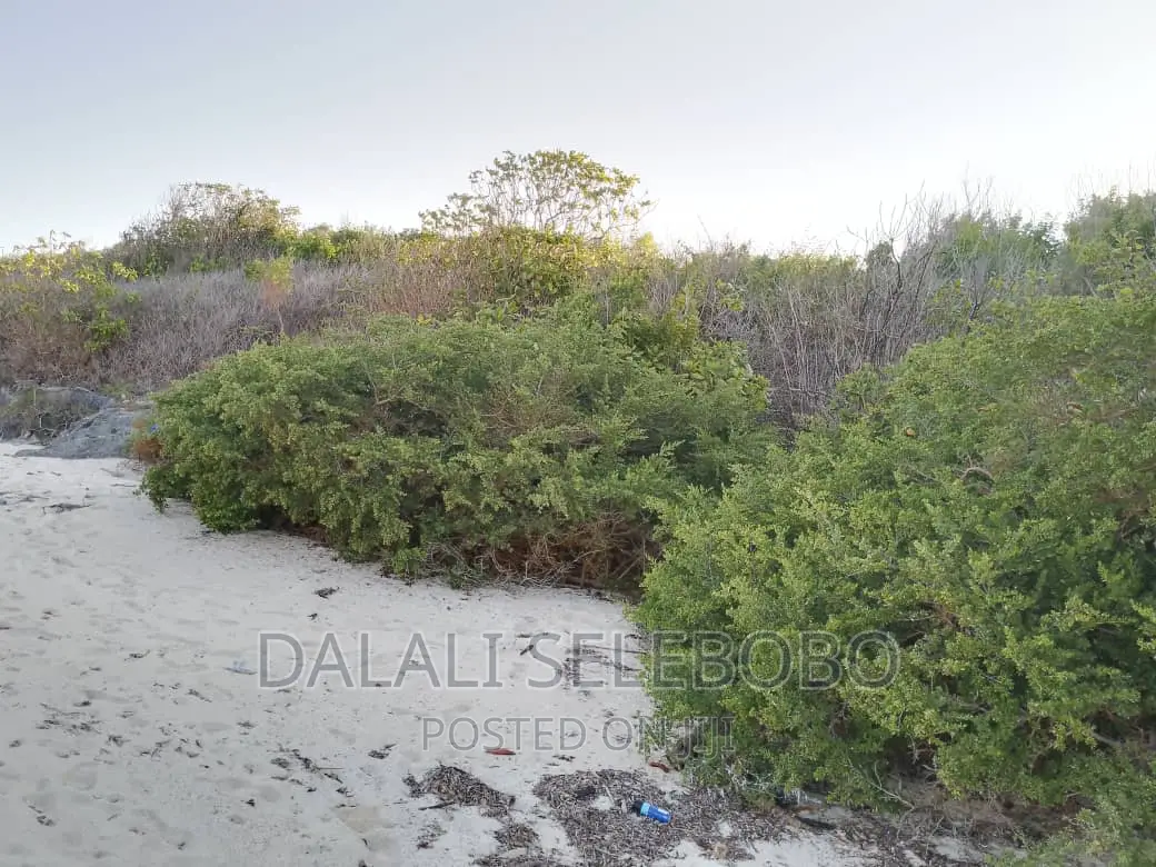 Beach Plot at Zanzibar Hecta 35