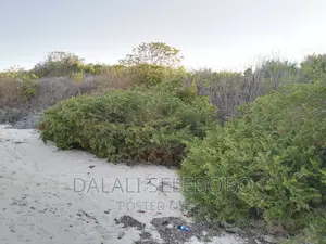 Beach Plot at Zanzibar Hecta 35