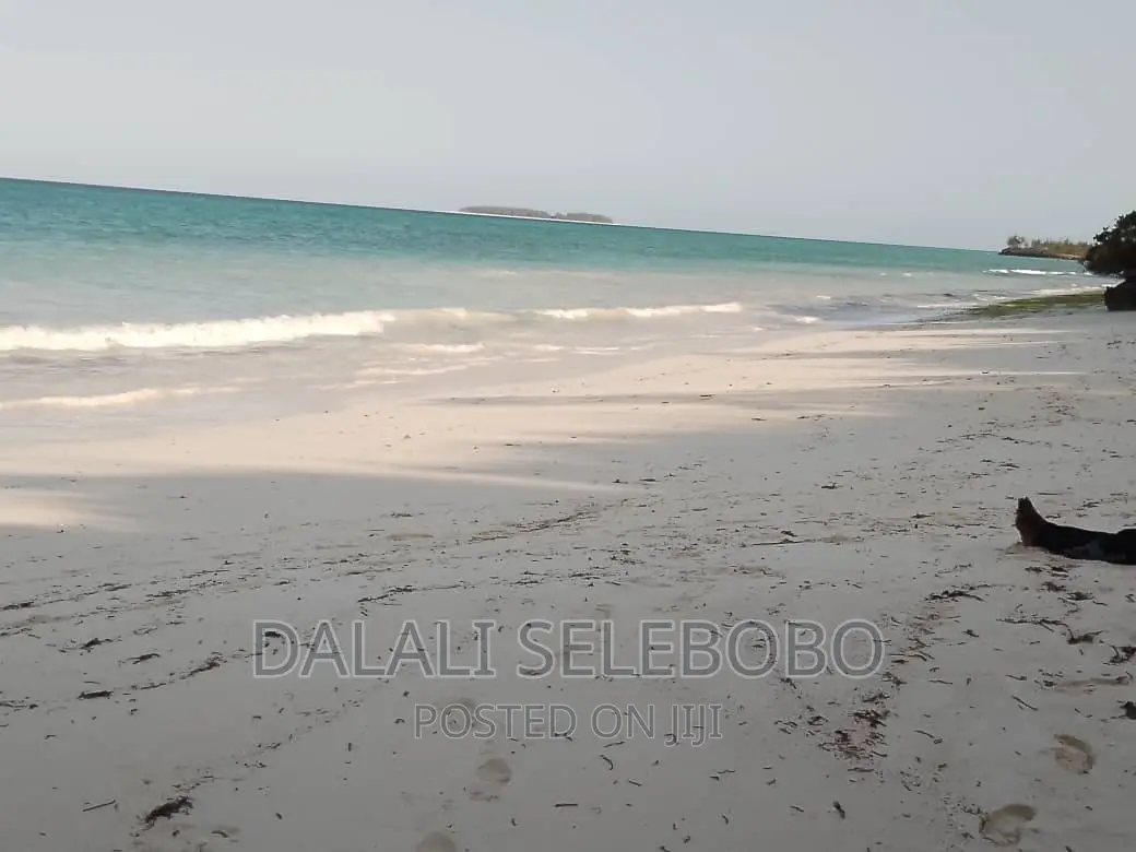 Beach Plot at Zanzibar Hecta 35