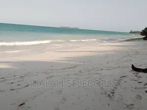 Beach Plot at Zanzibar Hecta 35