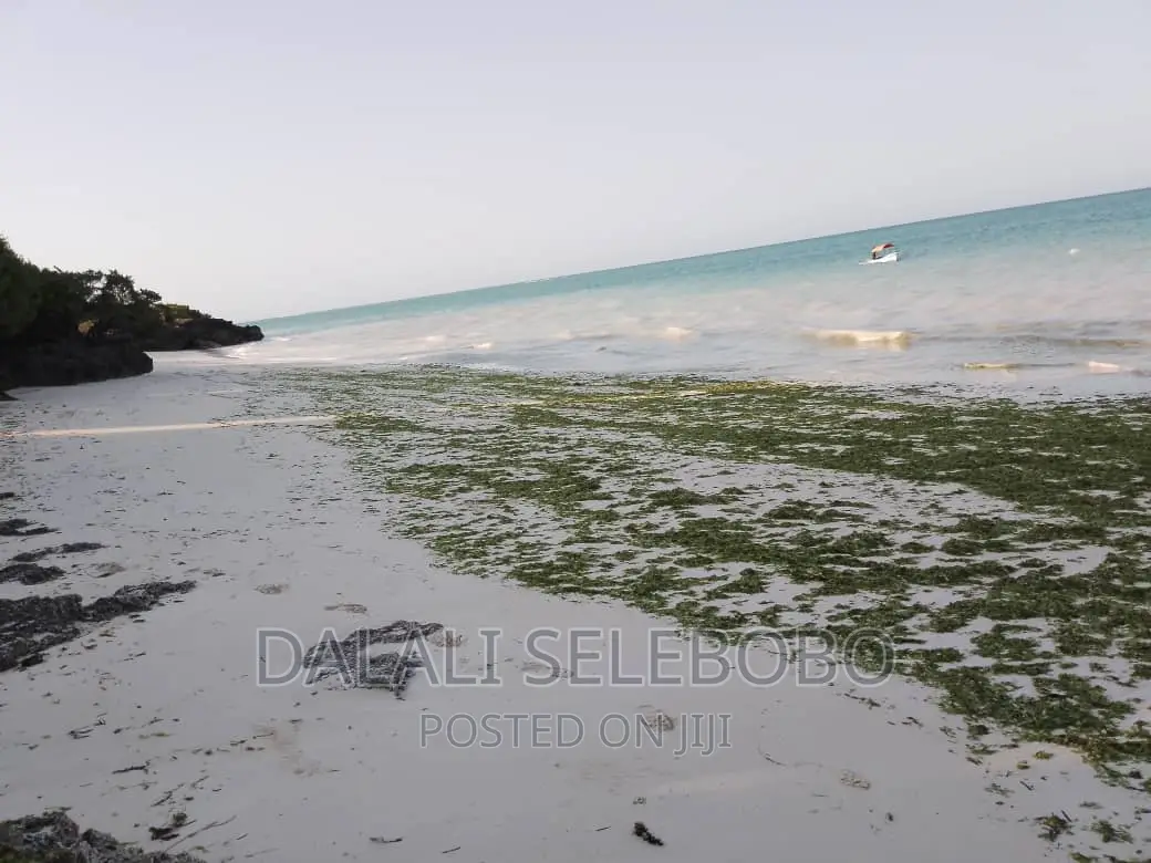 Beach Plot at Zanzibar Hecta 35