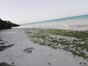 Beach Plot at Zanzibar Hecta 35