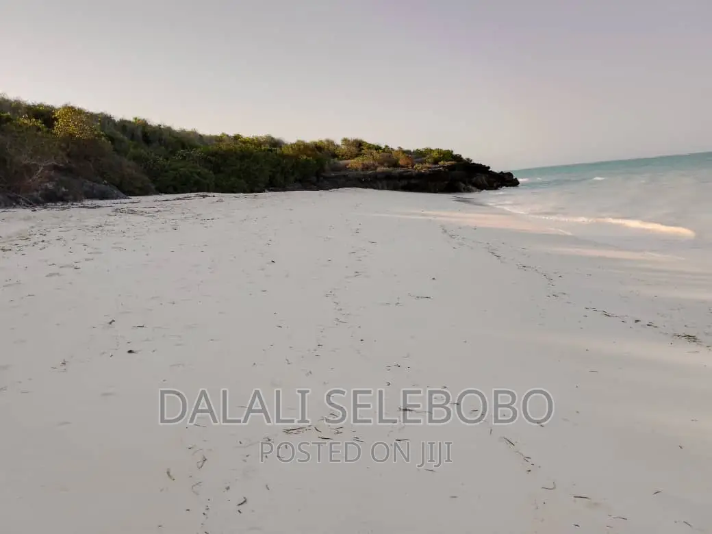 Beach Plot at Zanzibar Hecta 35
