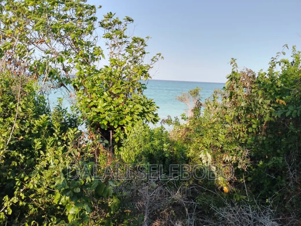 Beach Plot at Zanzibar Hecta 35