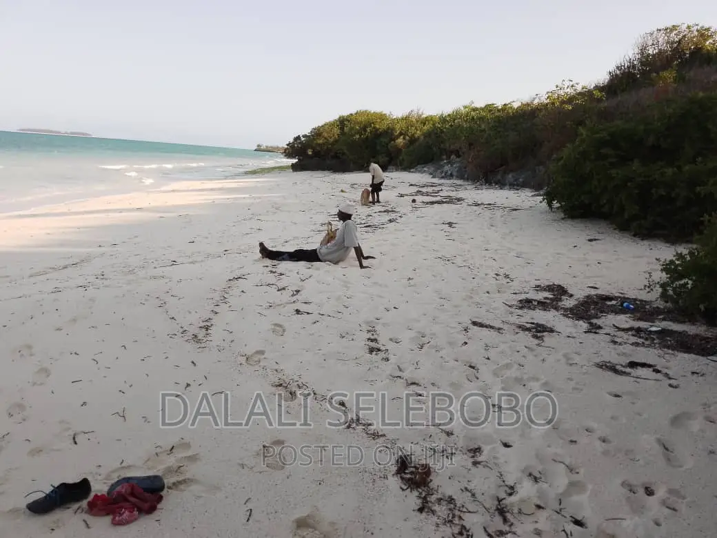 Beach Plot at Zanzibar Hecta 35