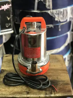 Electric 12V Pump