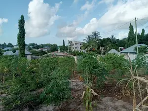 Kiwanja Karibu Na Barabara Kuu