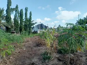 Kiwanja Karibu Na Barabara Kuu