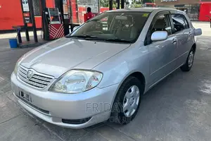 Toyota Allex 2003 Silver