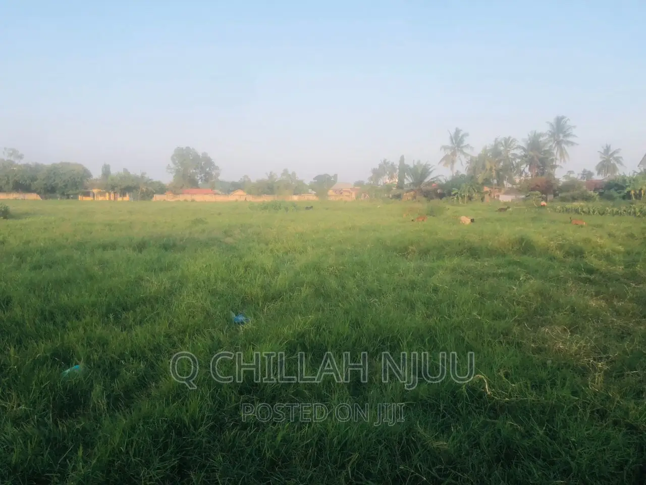 Plot for Sale Tegeta Wazo