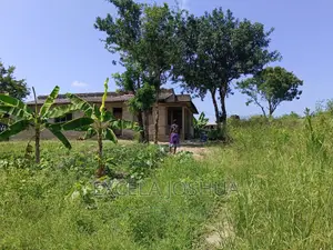 Kiwanja Kina Banda LA Vyumba 7 Kinauzwa Kilivya Kwa Komba