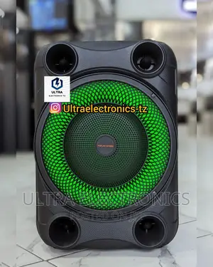 KOLAV Portable Rechargeable Speaker With 8 Inch and 1 