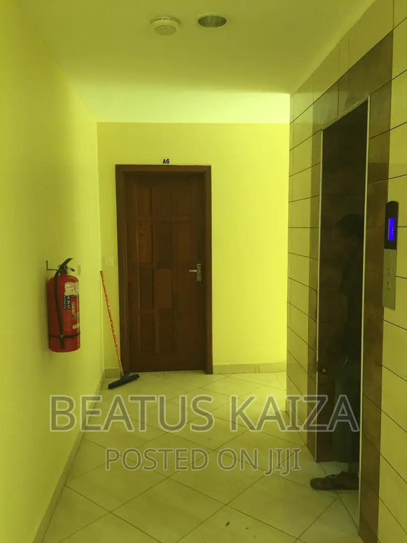 Furnished 2bdrm Apartment in Amani, Kariakoo for rent