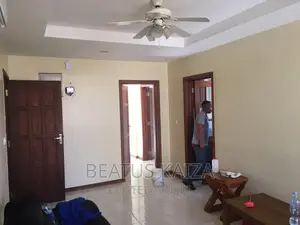 Furnished 2bdrm Apartment in Amani, Kariakoo for rent