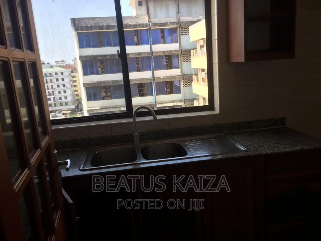 Furnished 2bdrm Apartment in Amani, Kariakoo for rent