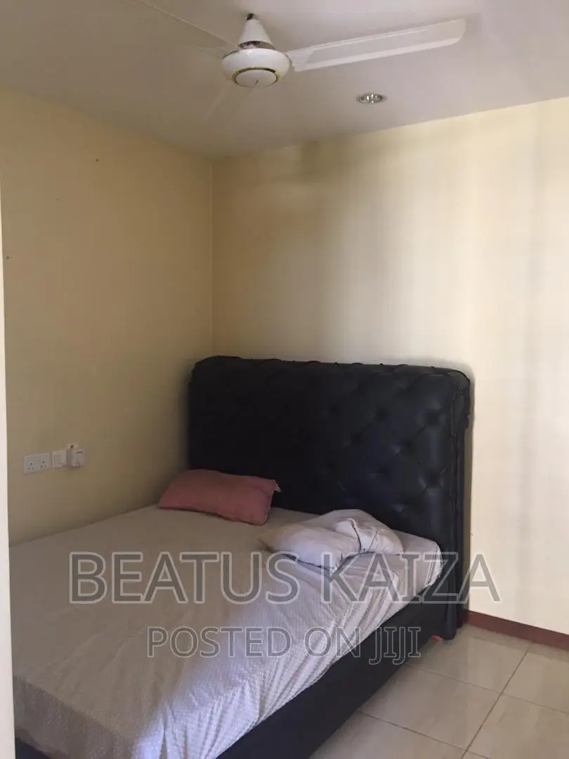 Furnished 2bdrm Apartment in Amani, Kariakoo for rent
