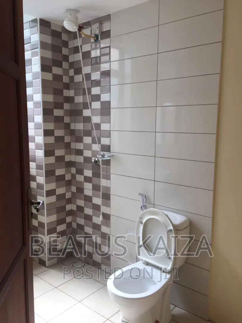 Furnished 2bdrm Apartment in Amani, Kariakoo for rent