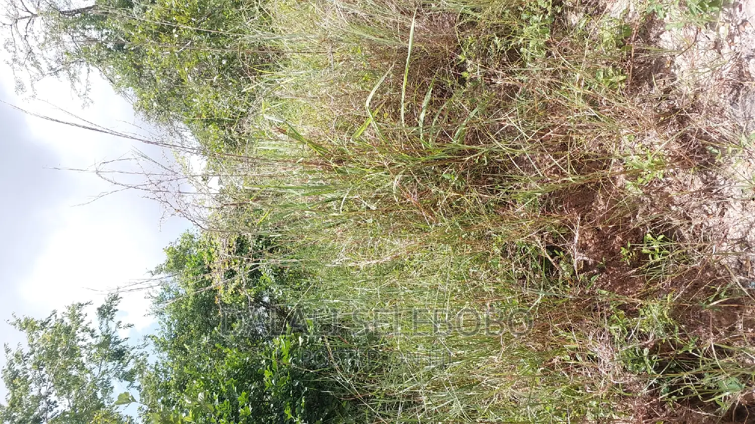 Mradi Wa Viwanja Goba Kuanzia Milioni 64 Full Hati
