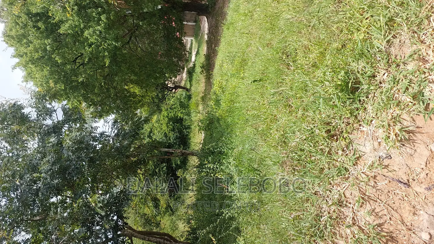Hekari 200 Sale Njobe Iringa Bilioni4
