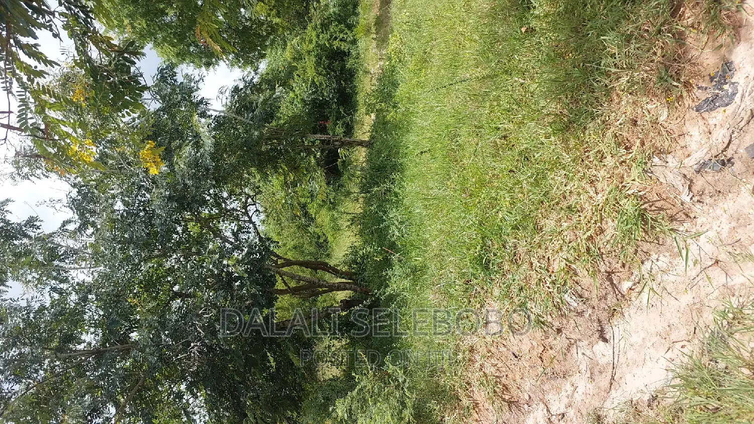 Hekari 200 Sale Njobe Iringa Bilioni4