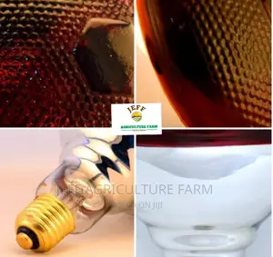 Super Favorite Infrared Bulb Available