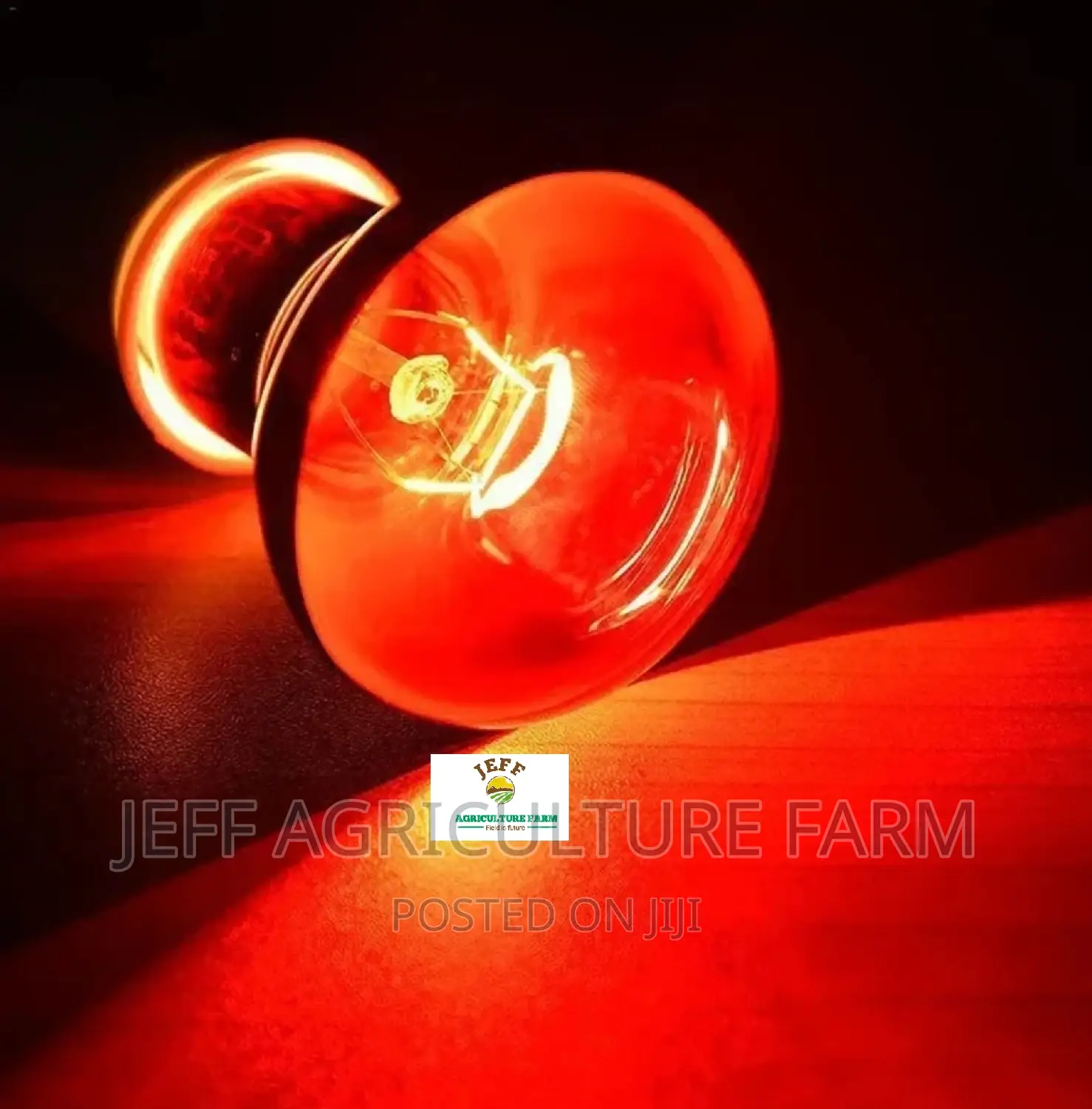 Super Favorite Infrared Bulb Available