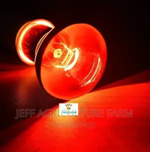 Super Favorite Infrared Bulb Available