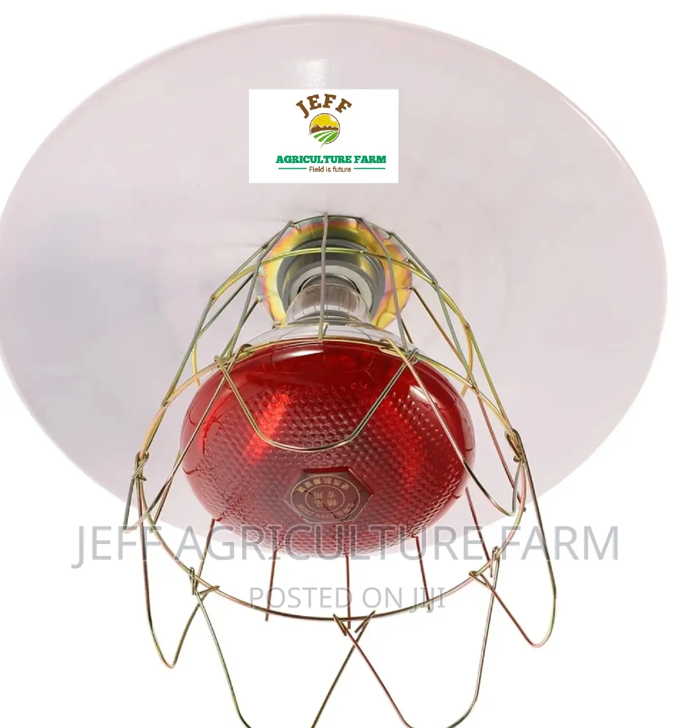 Super Favorite Infrared Bulb Available