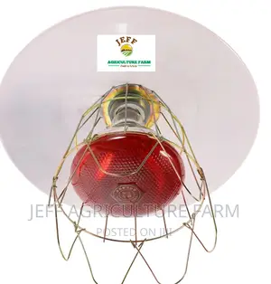 Super Favorite Infrared Bulb Available