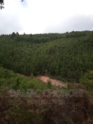 Shamba Kubwa Linauzwa Njombe