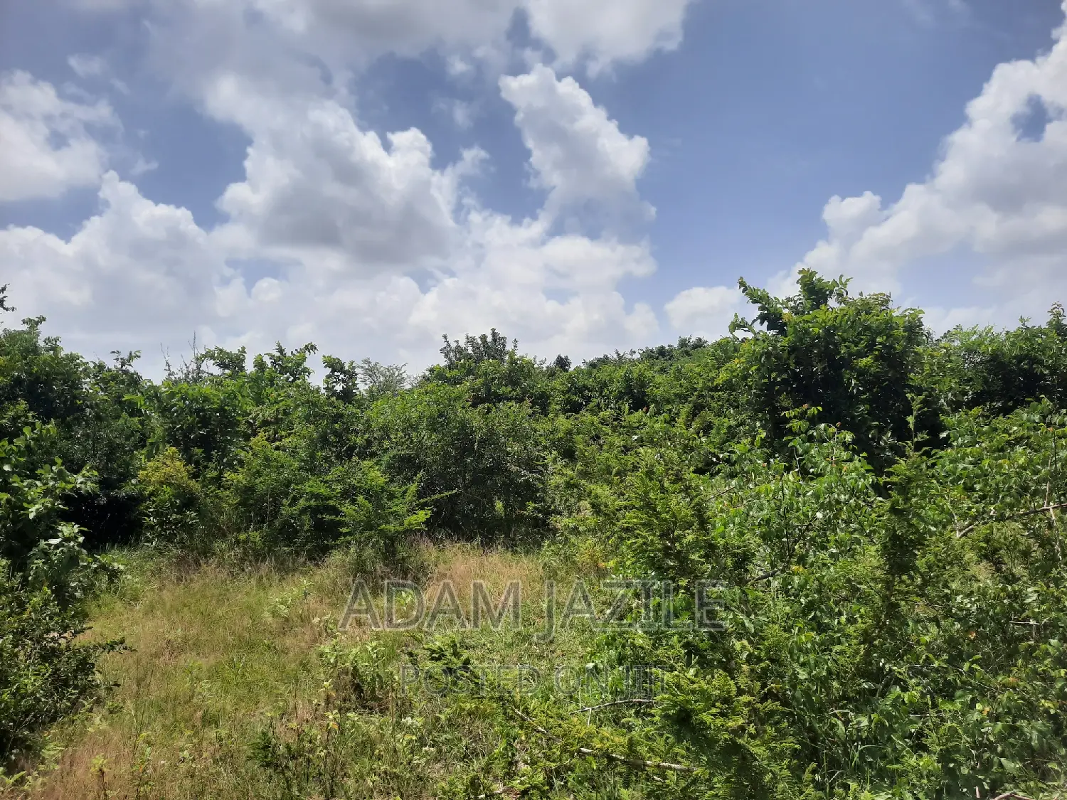 Shamba La Ekari 15 Linauzwa Fukayosi Bagamoyo
