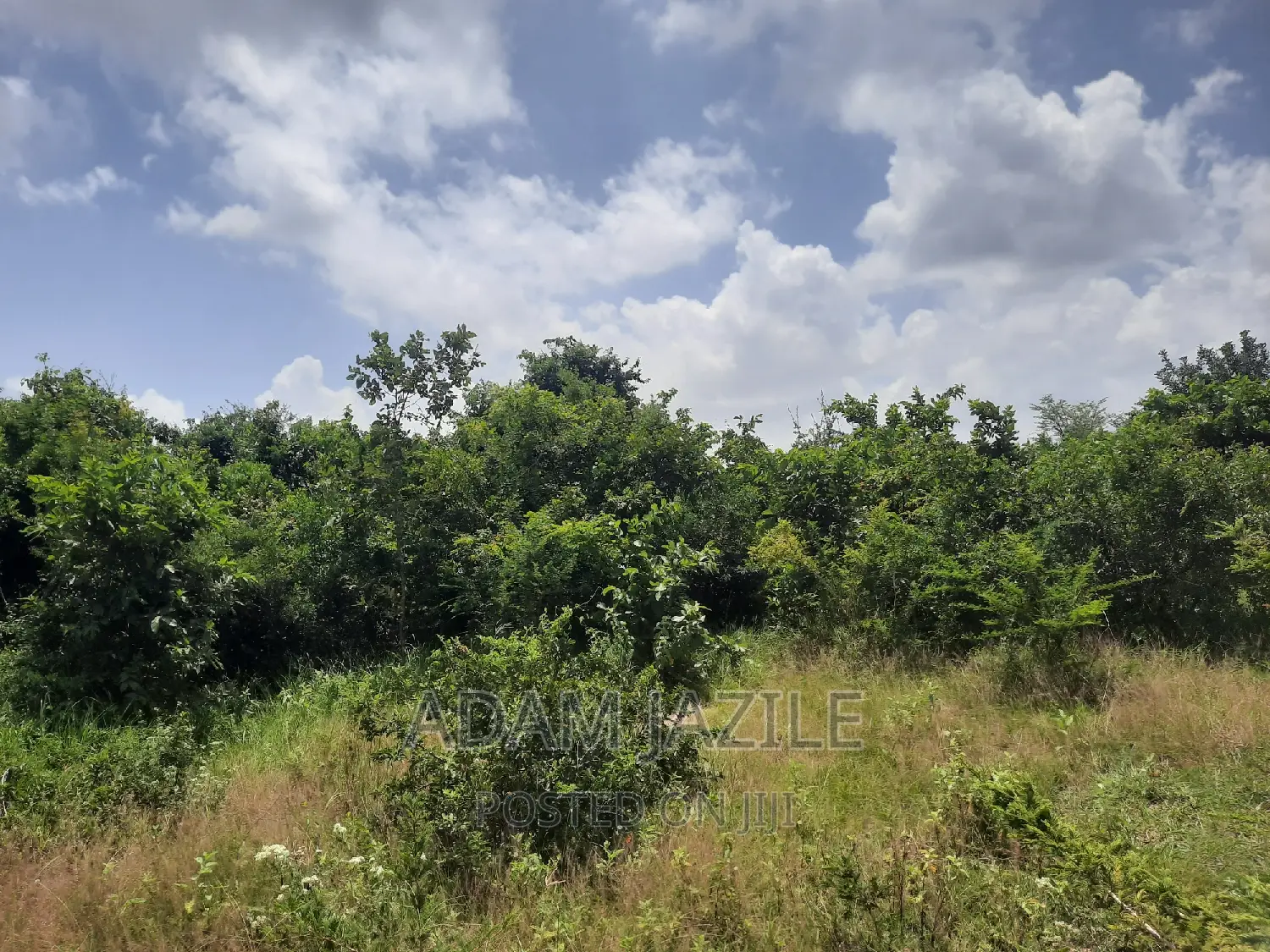 Shamba La Ekari 15 Linauzwa Fukayosi Bagamoyo