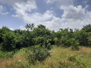 Shamba La Ekari 15 Linauzwa Fukayosi Bagamoyo
