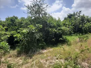 Shamba La Ekari 15 Linauzwa Fukayosi Bagamoyo