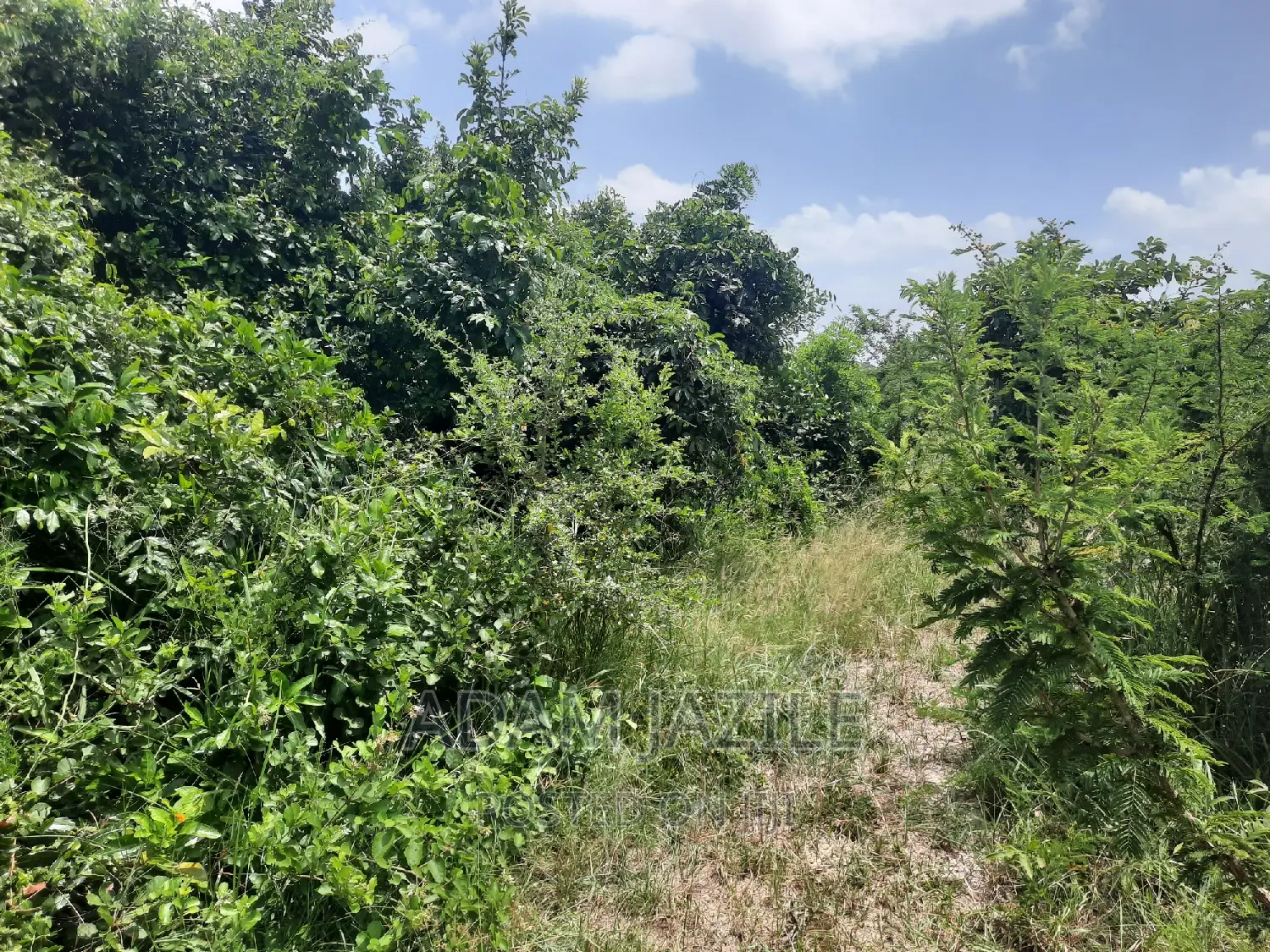 Shamba La Ekari 15 Linauzwa Fukayosi Bagamoyo