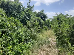 Shamba La Ekari 15 Linauzwa Fukayosi Bagamoyo