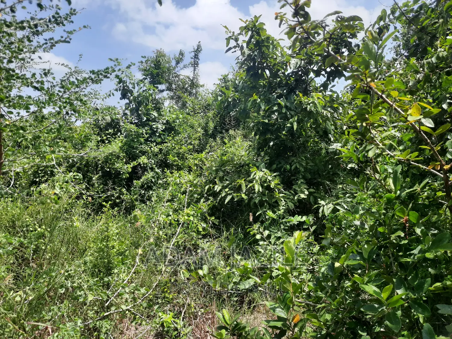 Shamba La Ekari 15 Linauzwa Fukayosi Bagamoyo