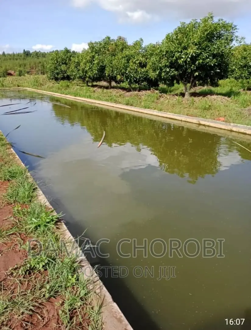 Farm for Sale Loction Njombe