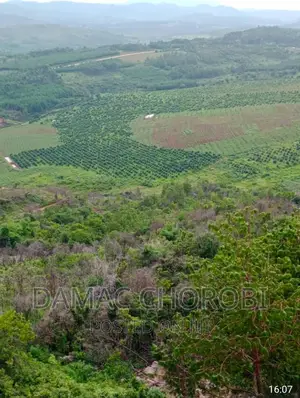 Shamba Bora Linauzwa Njombe