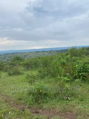 Shamba Linauzwa Kilosa Morogoro