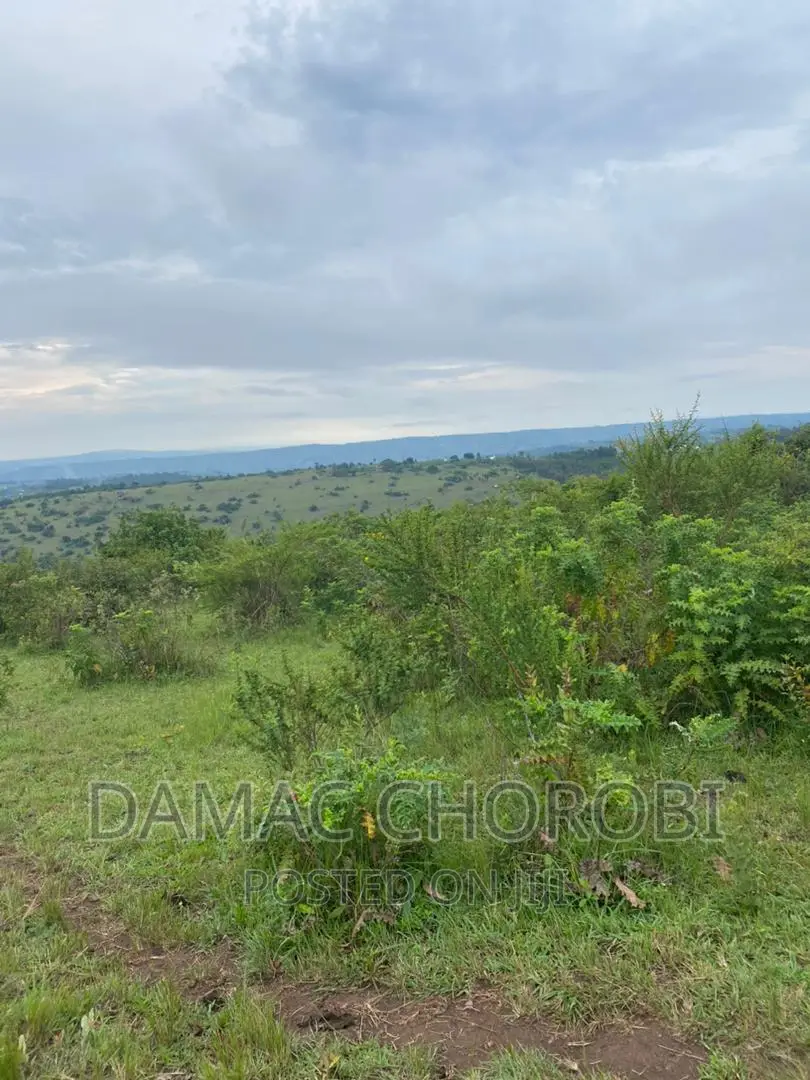 Shamba Linauzwa Kilosa Morogoro