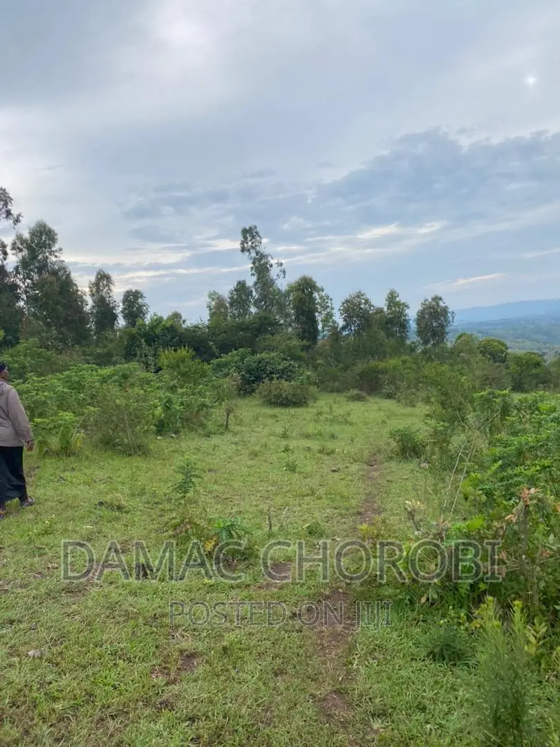 Shamba Linauzwa Kilosa Morogoro